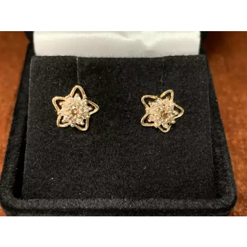 14K YG Earrings Diamond Star Chocolate center 1/4 CTW 1.2g (2)