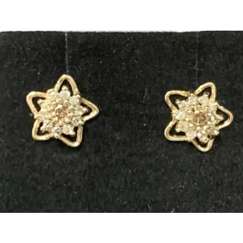 14K YG Earrings Diamond Star Chocolate center 1/4 CTW 1.2g (3)