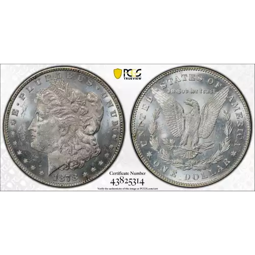 1878 7/8TF $1 Strong VAM 36 7/4