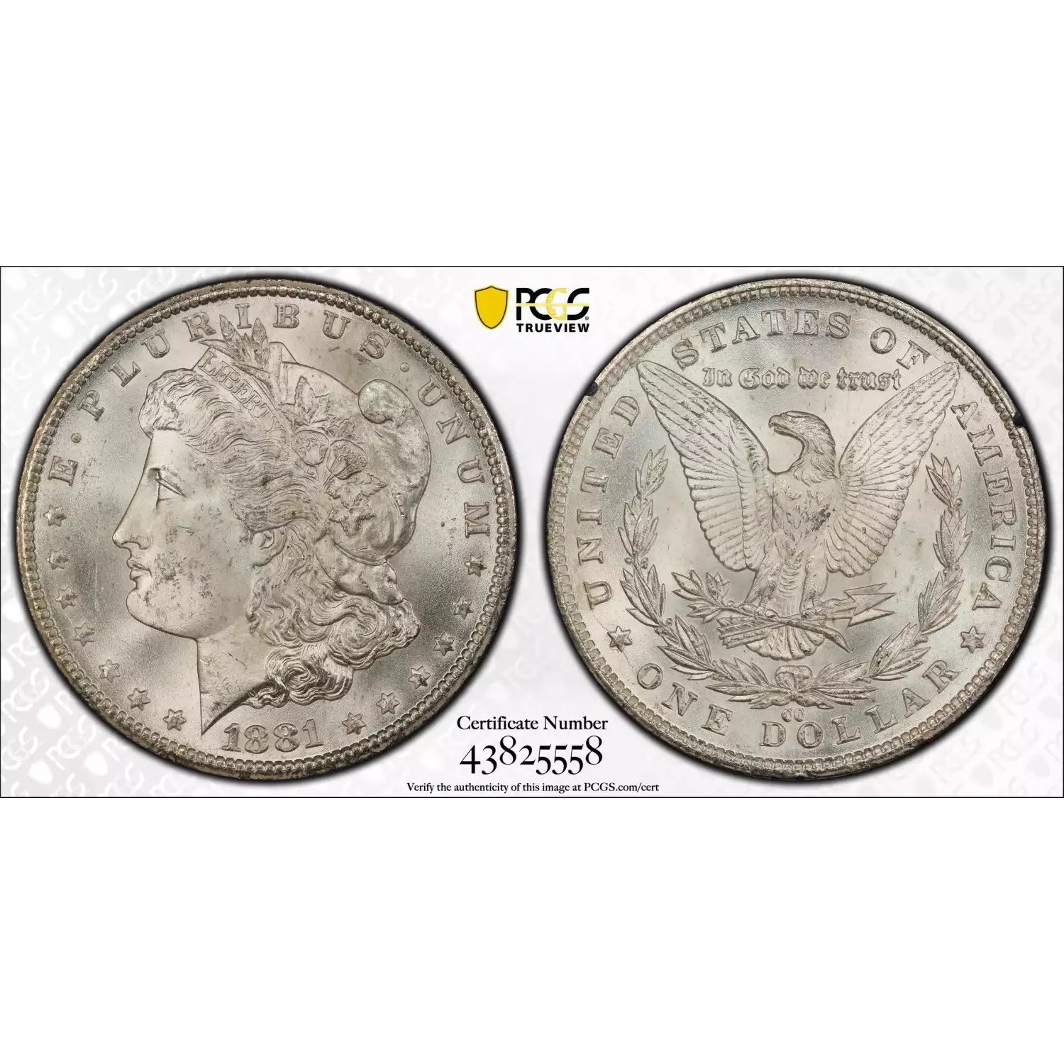 1881-CC $1 GSA Hoard