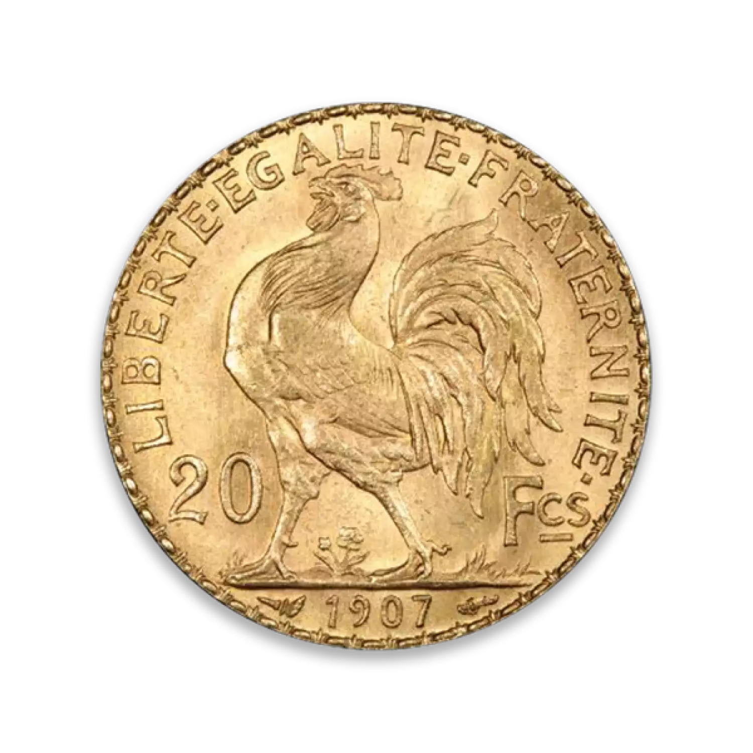 French Gold 20 FRANCS (2)