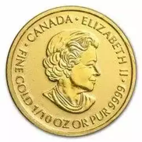 Generic 1/10oz Gold Round (2)