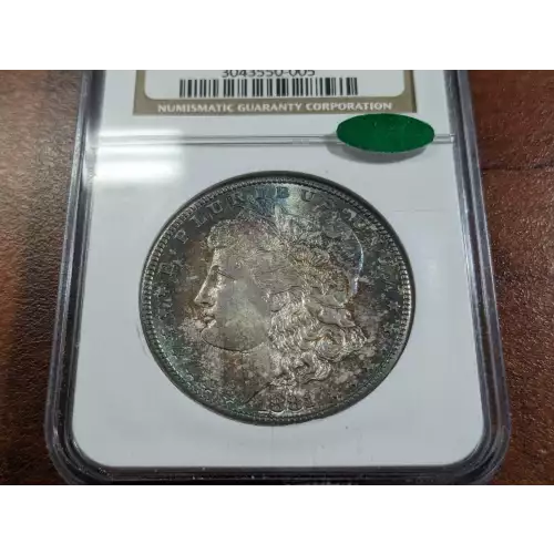 Morgan Silver Dollar