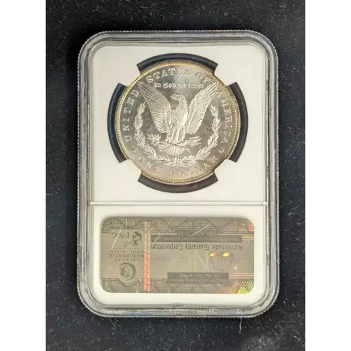 Morgan Silver Dollar (5)