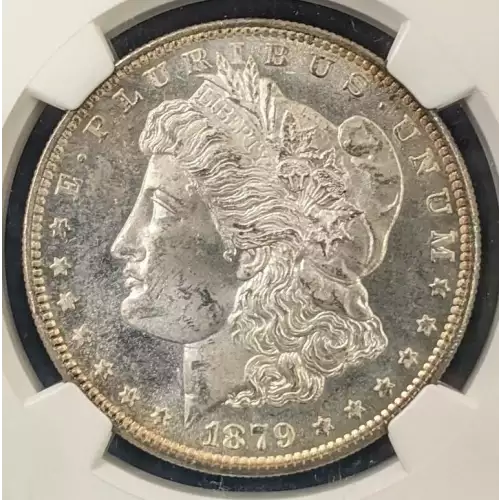 Morgan Silver Dollar (4)