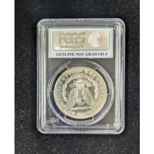 Morgan Silver Dollar