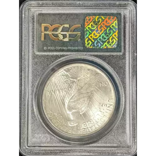 Peace Silver Dollar