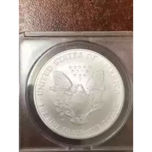 Silver Eagles (2)