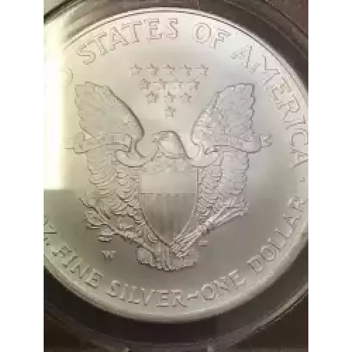 Silver Eagles (4)