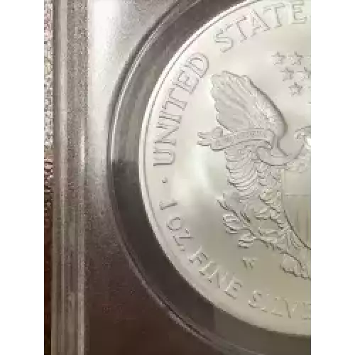 Silver Eagles (5)