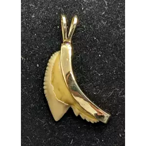 WOW! Custom Shark Tooth Gold Pendant 14k 2.2 Grams 1.25